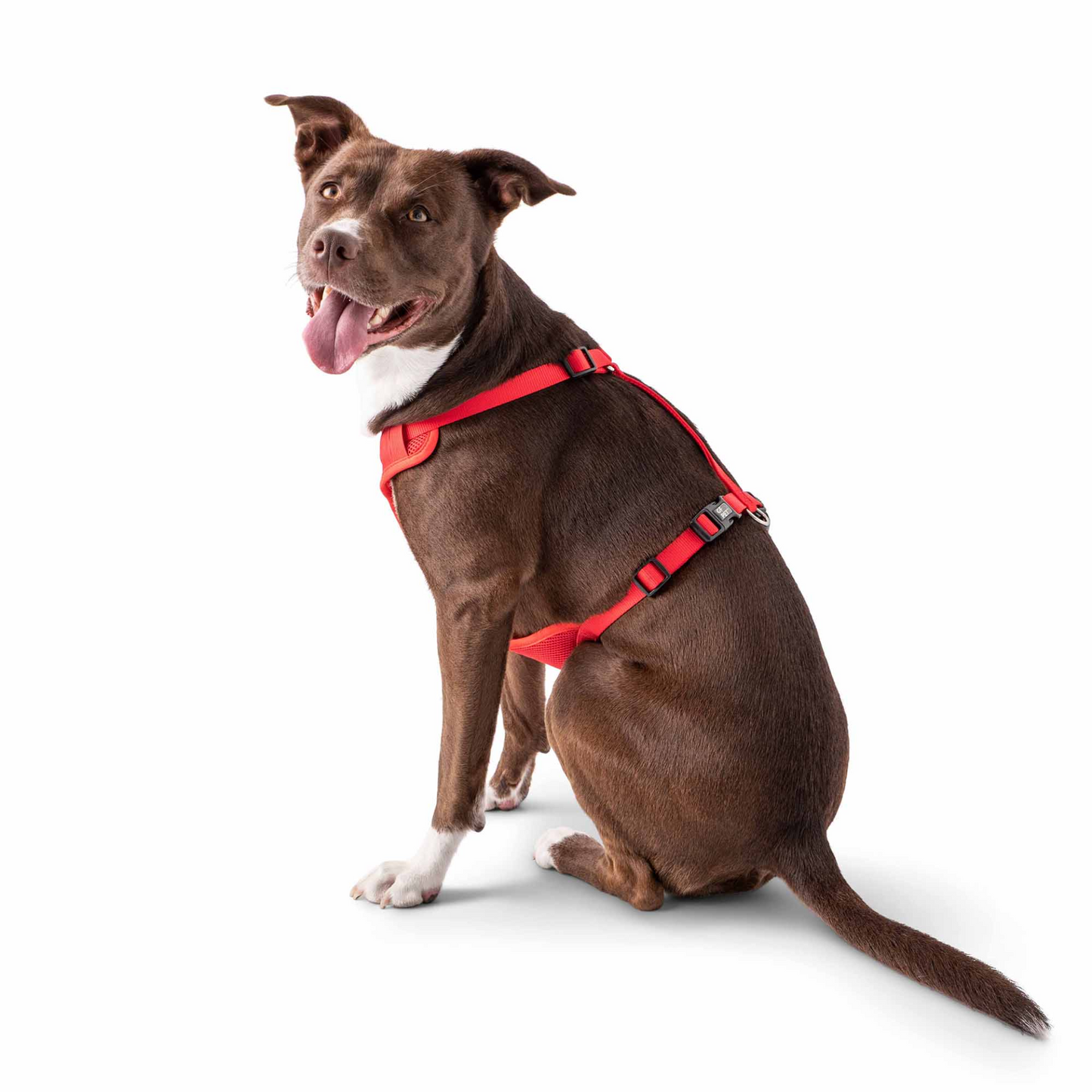 Travel Harness-Red