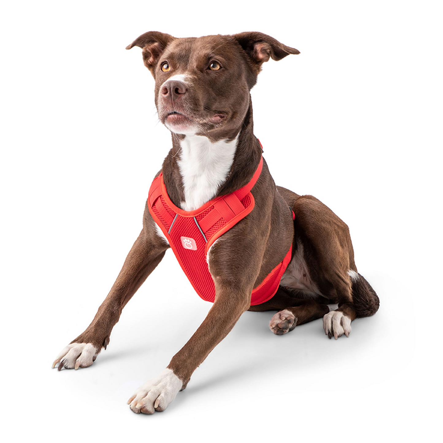 Travel Harness-Red