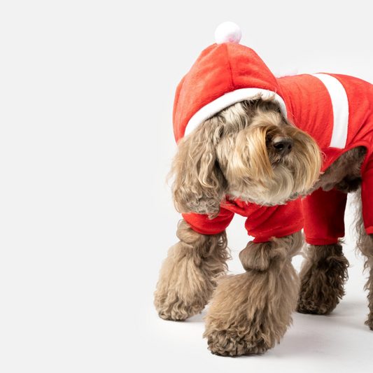 Christmas Dog Pajamas-Claus Dog Pjs