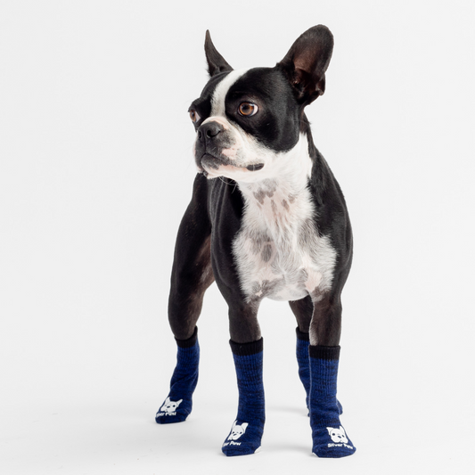 Compression Dog Socks-Blue