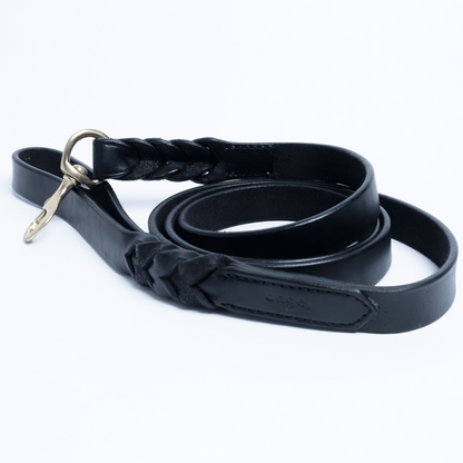 Braided Leather Dog Leash