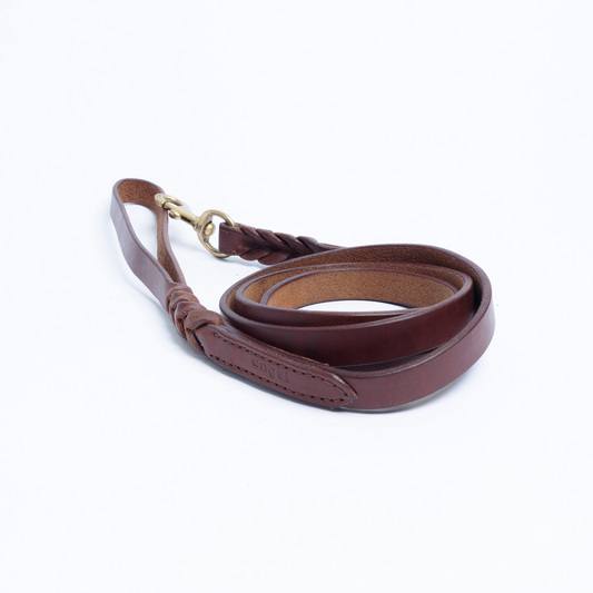 Braided Leather Dog Leash