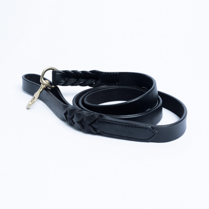 Braided Leather Dog Leash