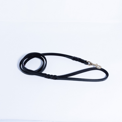 Braided Leather Dog Leash
