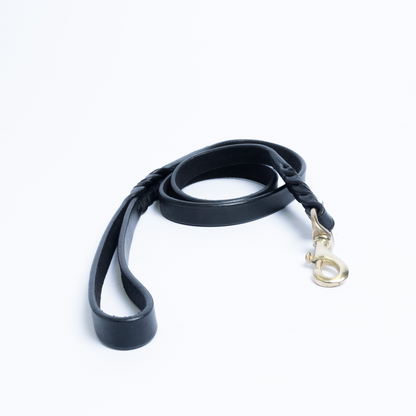 Braided Leather Dog Leash
