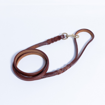 Braided Leather Dog Leash