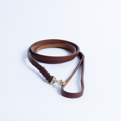 Braided Leather Dog Leash