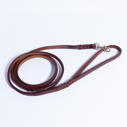 Braided Leather Dog Leash