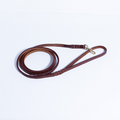 Braided Leather Dog Leash
