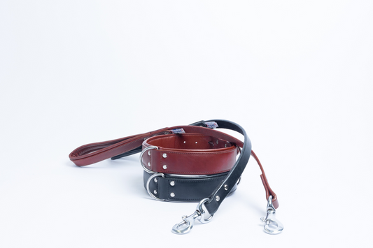 Dallas Dog Leash