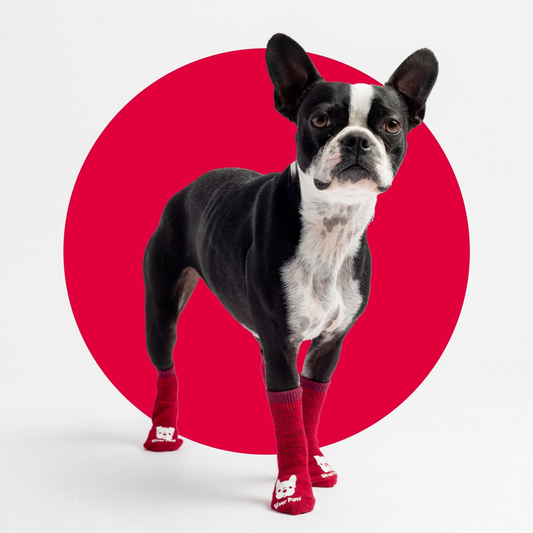 Compression Dog Socks-Red