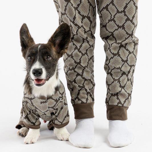 Matching Human & Dog Pajama - Snakeskin