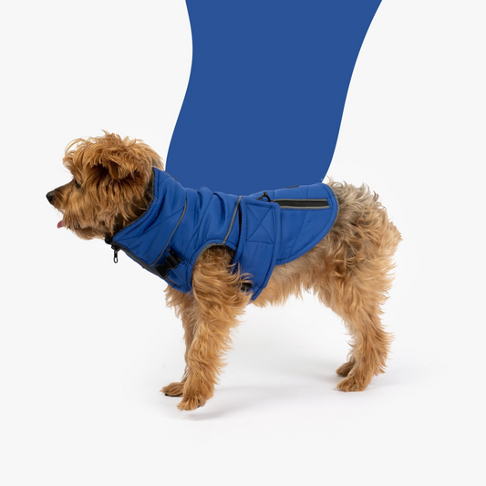 Monty Dog Jacket