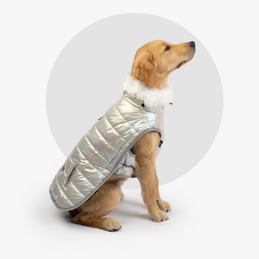 Nikka Dog Jacket