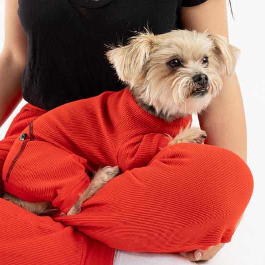 Matching Thermal Human & Dog Pajama - Red