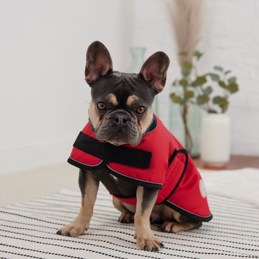 Dog Blanket Jacket - Red