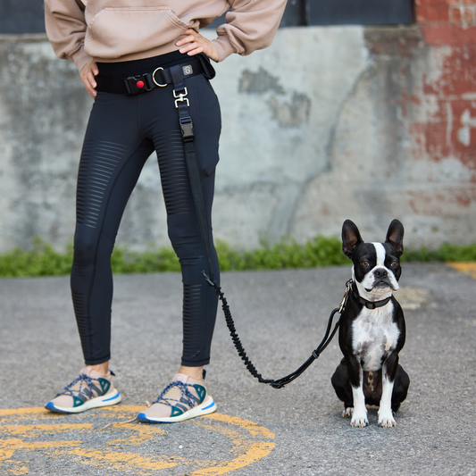 Hands Free-Waist Belt & Bungee Leash