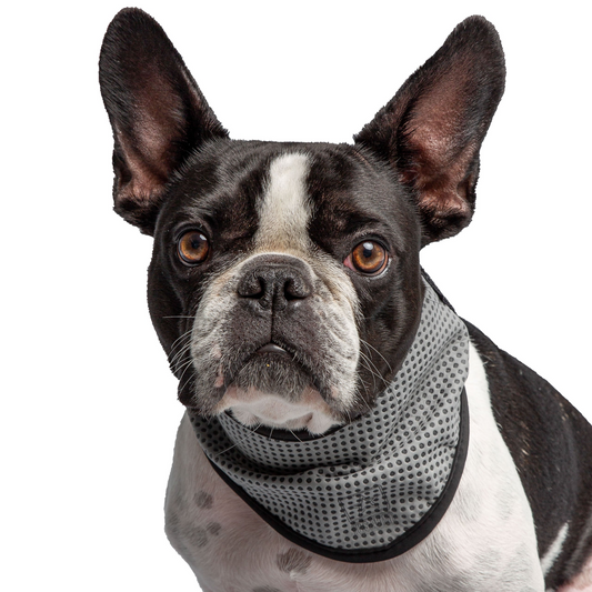 US Army Dog Cooling Bandana-Grey